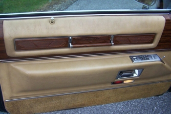 1976 Cadillac Eldorado Convertible Driver Door Panel.jpg